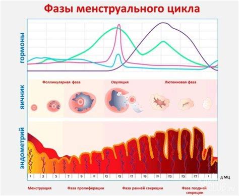 Нарушение месячного цикла