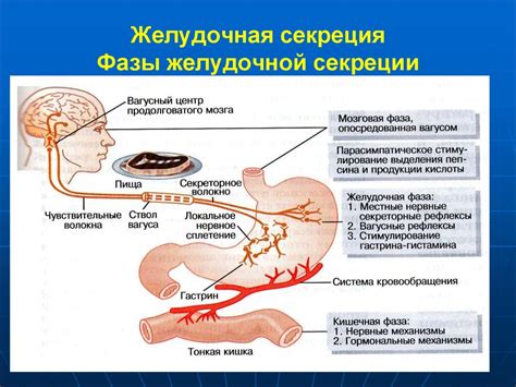 Недостаточное выделение желудочного сока