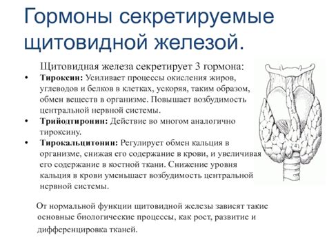 Недостаточное выделение щитовидной железой гормона: факторы и проявления