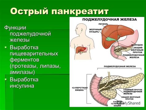 Недостаточное количество пищеварительных ферментов