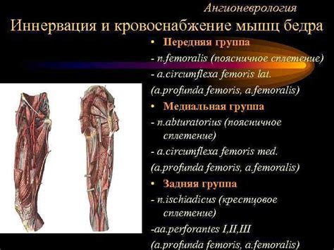 Недостаточное кровоснабжение мышц ног, вызванное: