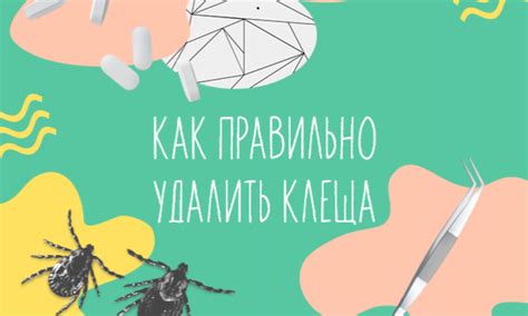 Нежно удалить клеща с помощью пинцета