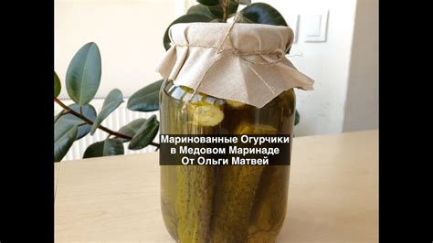 Нежные огурцы в медовом маринаде