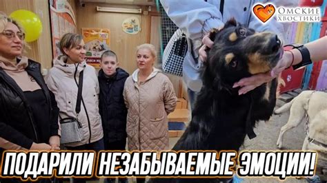 Незабываемые эмоции и сновидения