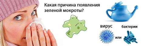 Некроэктотические причины зеленой мокроты