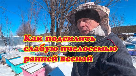 Необходимые работы после посадки