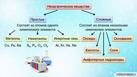 Неорганическое вещество в биологии: особенности и значение