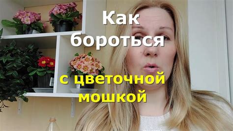 Неприятности, доставляемые цветочной мошкой