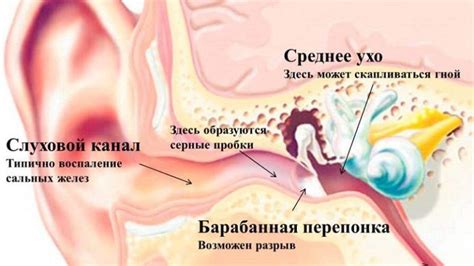 Неприятные ощущения в ушном левом канале утром