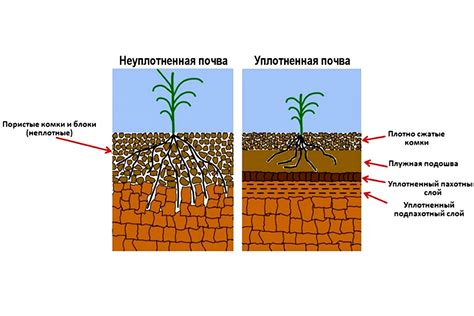 Неудовлетворительная почва