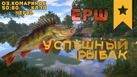 Новинки в игре Русская рыбалка 4, которые привлекают ершей