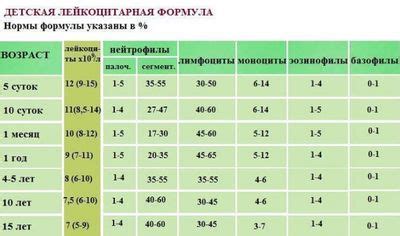 Норма моноцитов в процентах: какие значения считаются нормой?