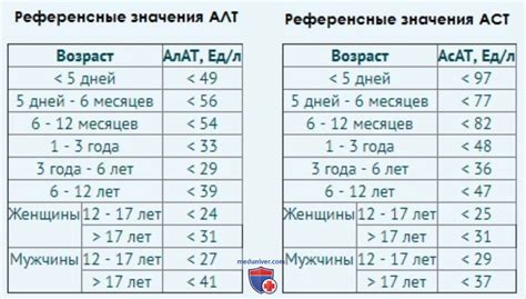 Норма уровня Алт в крови и его значение