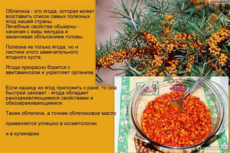 Облепиха для кулинарии: особенности и советы