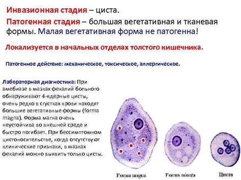 Обнаружение и диагностика нормосистолии