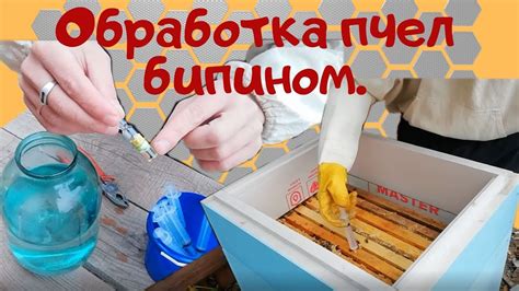 Обработка пчел от клеща осенью народными средствами