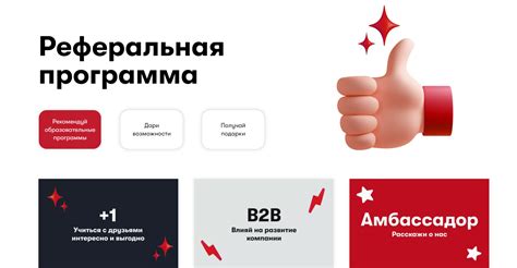 Образовательные возможности и программа обучения