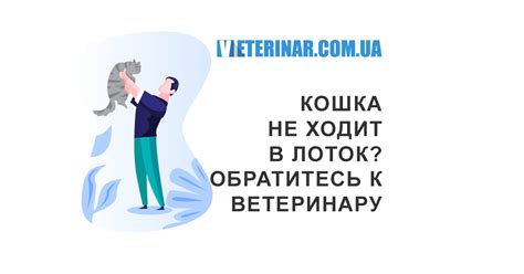 Обратитесь к ветеринару за советами