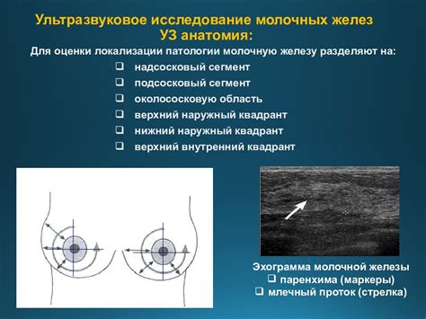 Обследование и лечение при извращении молочных желез