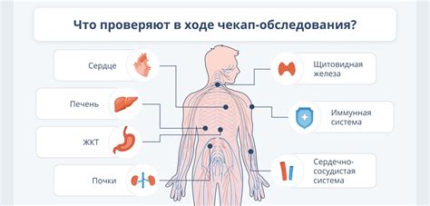 Обследование органов и систем организма