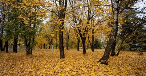 Обувь для погоды в 14 градусов тепла