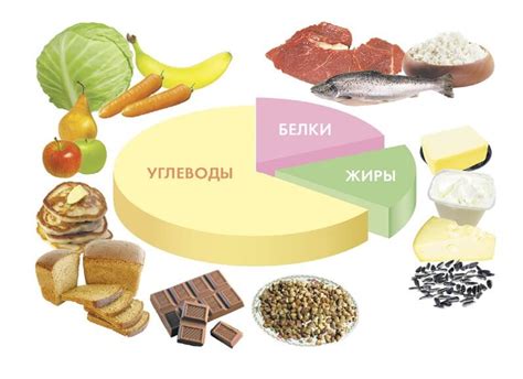 Овощи, которые помогут восстановить питательные вещества в почве