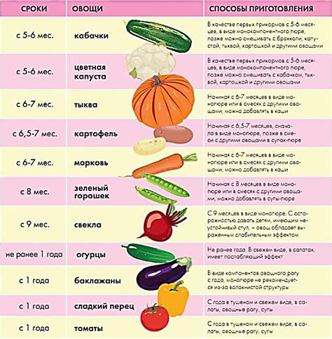 Овощи для прикорма: