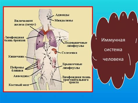 Онкологические заболевания и связь с изменением структуры лимфоузла