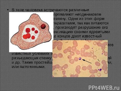 Описание Захара и его отношение к своему хозяину