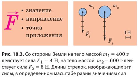 Определение и значение в физике