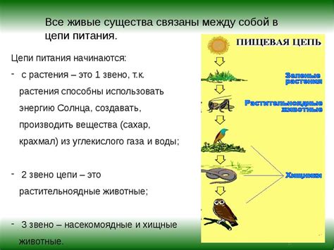 Определение и значение для экосистемы