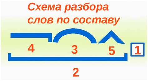 Определение и назначение разбора по составу