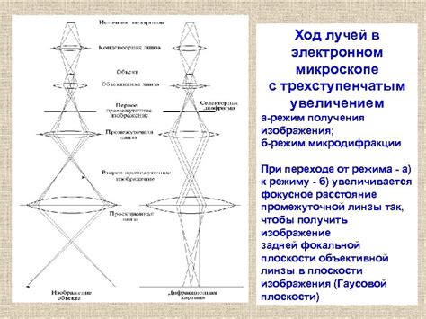 Определение и особенности лучей