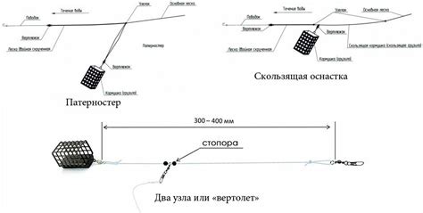 Определение и особенности фидера