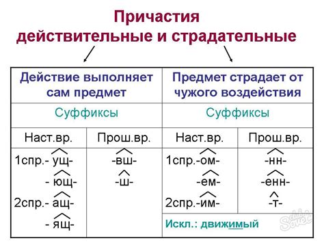 Определение и примеры краткой формы причастия