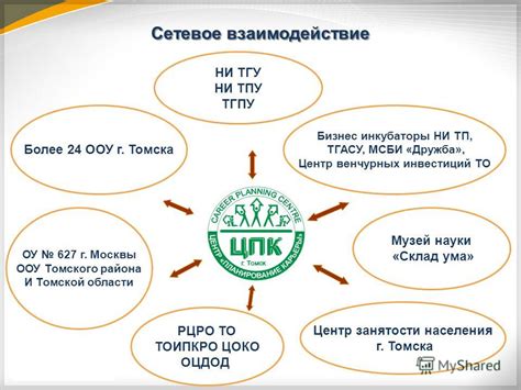 Определение и роль в сетевом взаимодействии