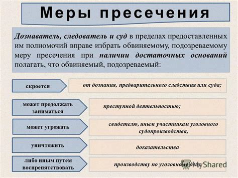 Определение и суть меры пресечения