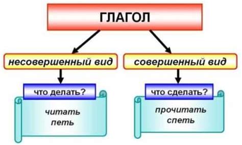 Определение и характеристики совершенного вида