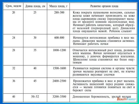 Определение начала срока