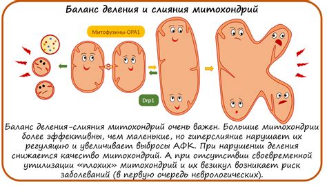 Определение патологических изменений в клетках