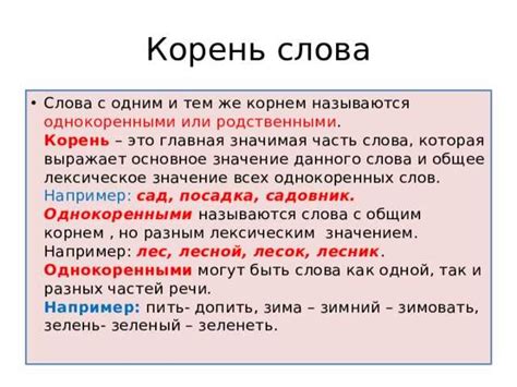 Определение понятия корень