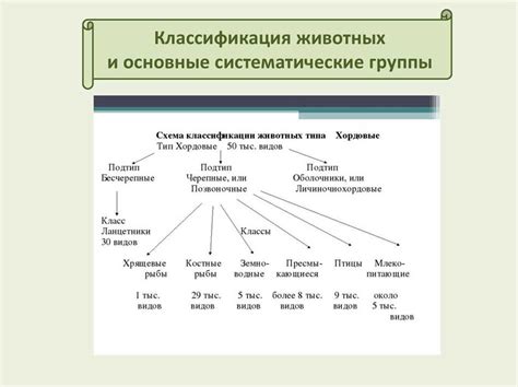 Определение систематики в биологии