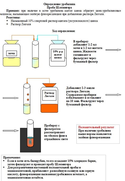 Определение уробилиногена