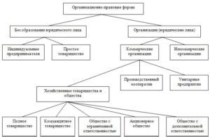 Организационно-правовые формы в России