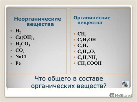 Органические вещества: примеры и их роль в жизни