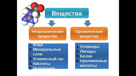 Органические и неорганические вещества: важные отличия и примеры