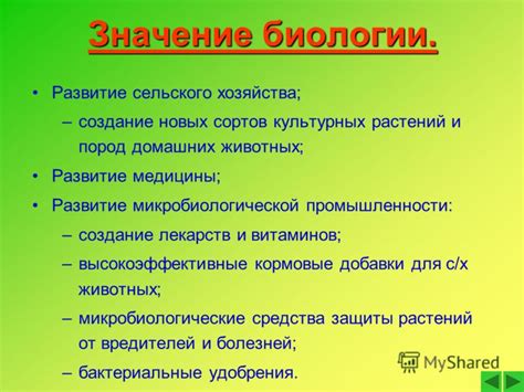 Органическое вещество в биологии: особенности и значение