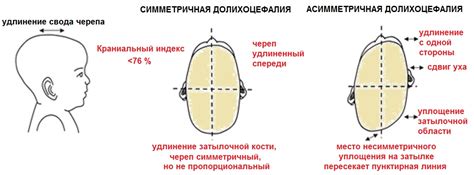 Осмотрите голову ребенка