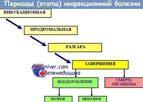 Основные болезни