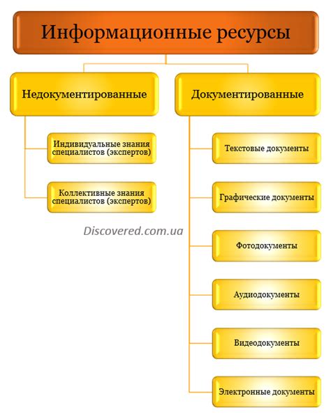 Основные виды информационных ресурсов